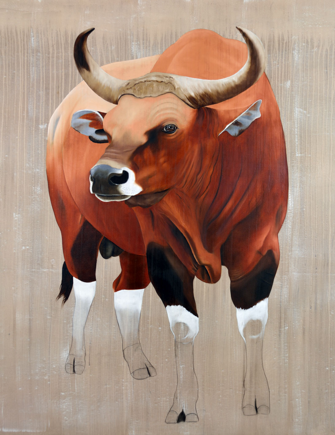 MAIRIE DE MONACO banteng-bos-javanicus-asian-red-bull-threatened-endangered-extinction Thierry Bisch Contemporary painter animals painting art  nature biodiversity conservation 